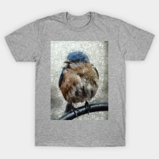 Eastern Bluebird T-Shirt